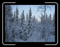 0212_0301 Sverige 080 * 800 x 600 * (103KB)